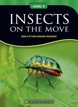 (Level 3) Insects on the Move